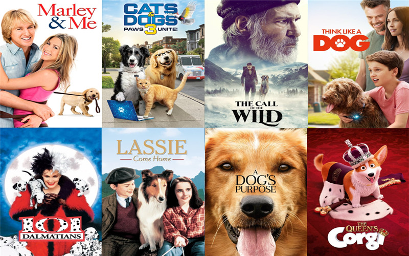 Best Dog Movies for Puppy Lovers (2022 Update)