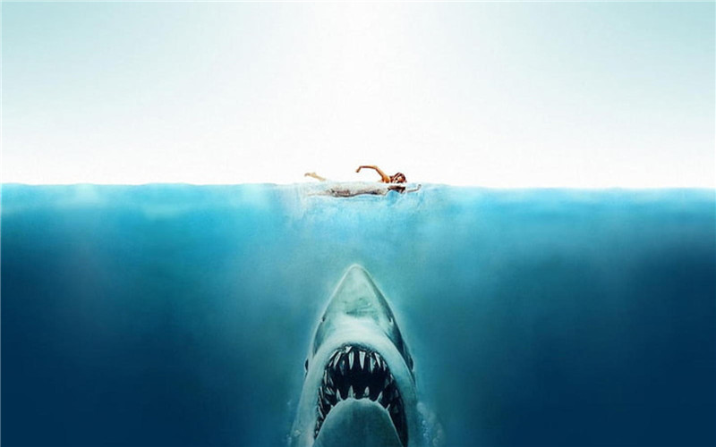 List of Scariest Shark Movies since Jaws