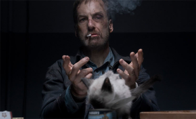 Bob Odenkirk and a kitty in Nobody (2021)