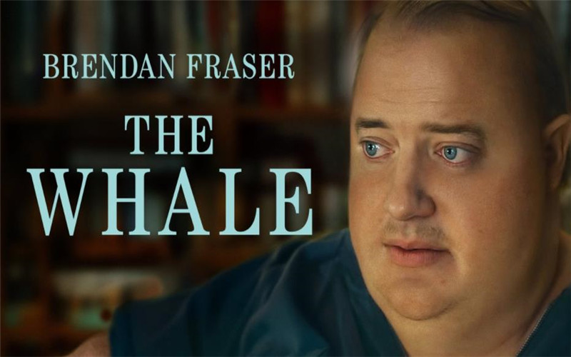 Where to Watch and Stream 'The Whale' Free Online